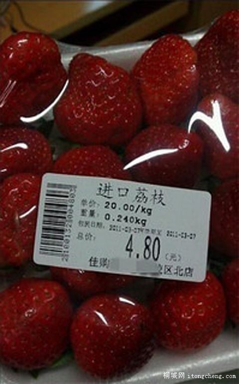 �����ǽ��ڵ���֦�� �����ð�Ƥ���ء���