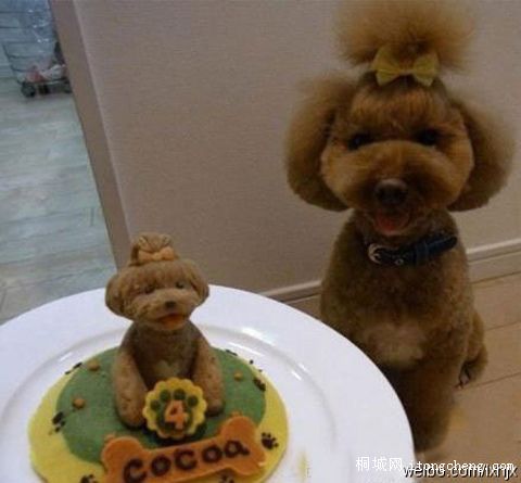 ���յ��ˣ�����ż�����յ��⣡����Ľȥ�ɾ͡���