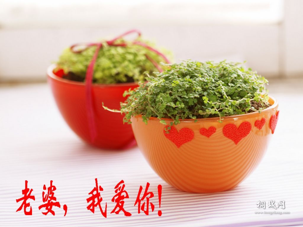 IndoorGreen_2011[1].jpg