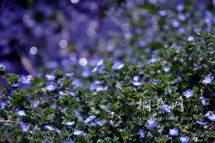DSC_3320.jpg