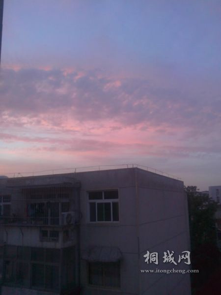 IMG0531192000.jpg