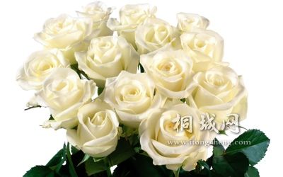 f042151b3eb341ecad6e75b9.jpg