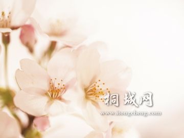 0ad96581e3e89afbbd3e1e08.jpg