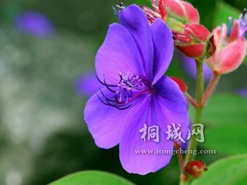 fedb4951ae3dac7f1038c2fd.jpg
