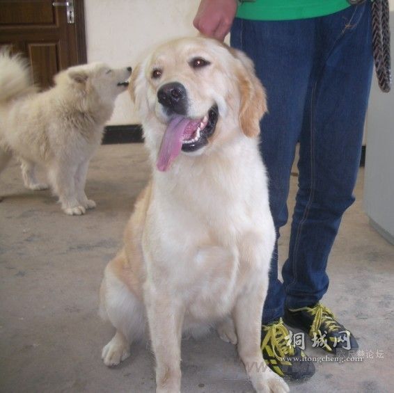 ����������ͷ��ĬĬ