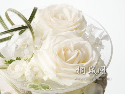 fb7231ca09eb490a0eb3452a.jpg