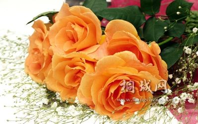 cd29bba8693a63b71e17a2b3.jpg