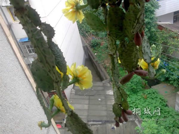 IMG0604153400.jpg