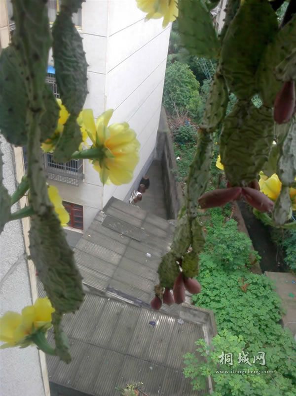 IMG0604153401.jpg