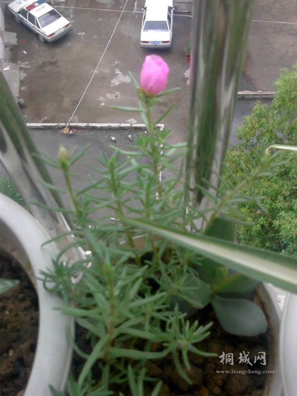 IMG0604153700.jpg