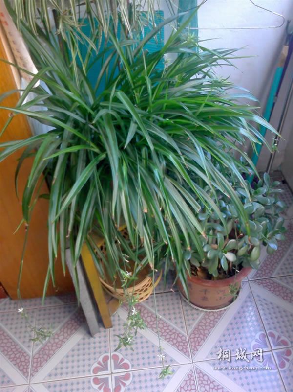 IMG0604153800.jpg