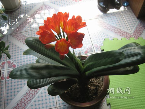 IMG_8705.jpg