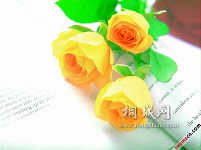 8f9062ee23d269ffb2fb95af.jpg