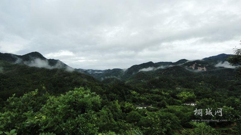 DSC02267.jpg