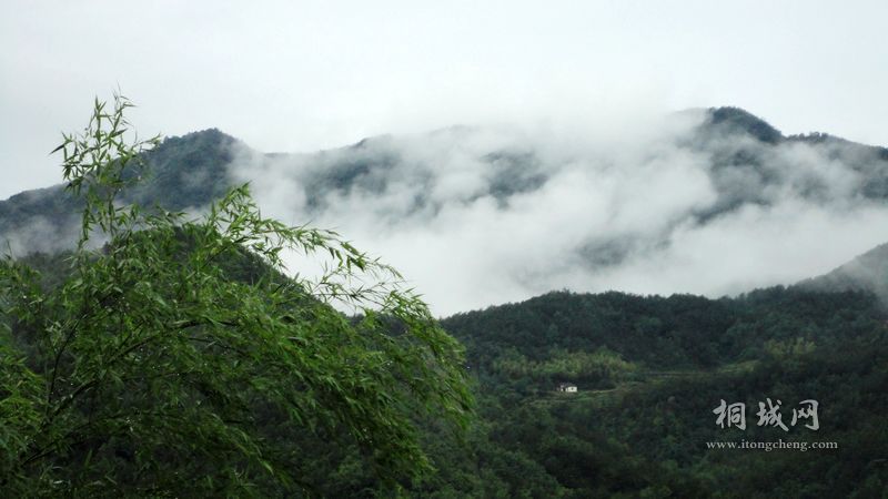 DSC02260.jpg