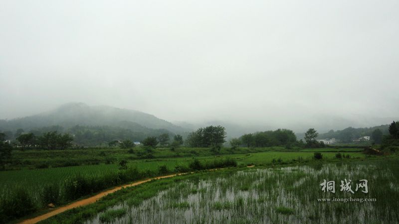 DSC02156.jpg