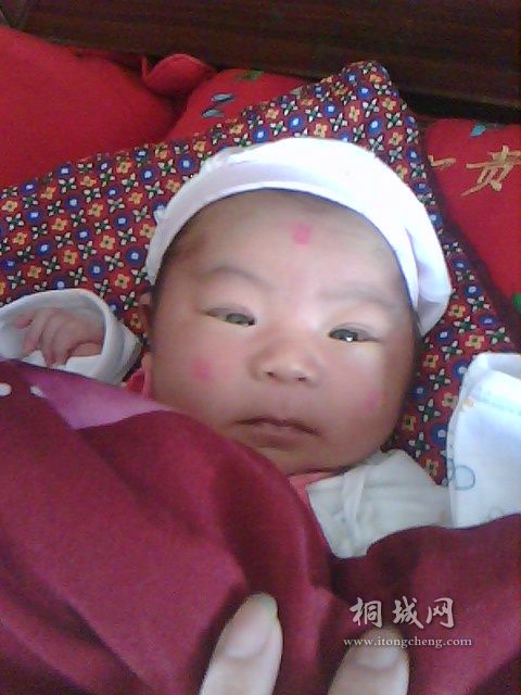 IMG0555A.jpg