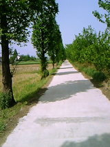 IMG0551A.jpg