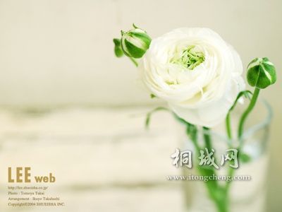 7b760839a129116670cf6c81.jpg