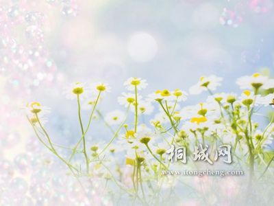 6227f9daa5beab828c10293a.jpg