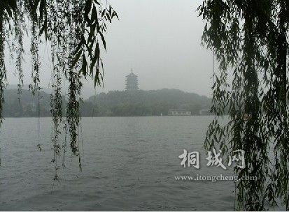 羰.jpg
