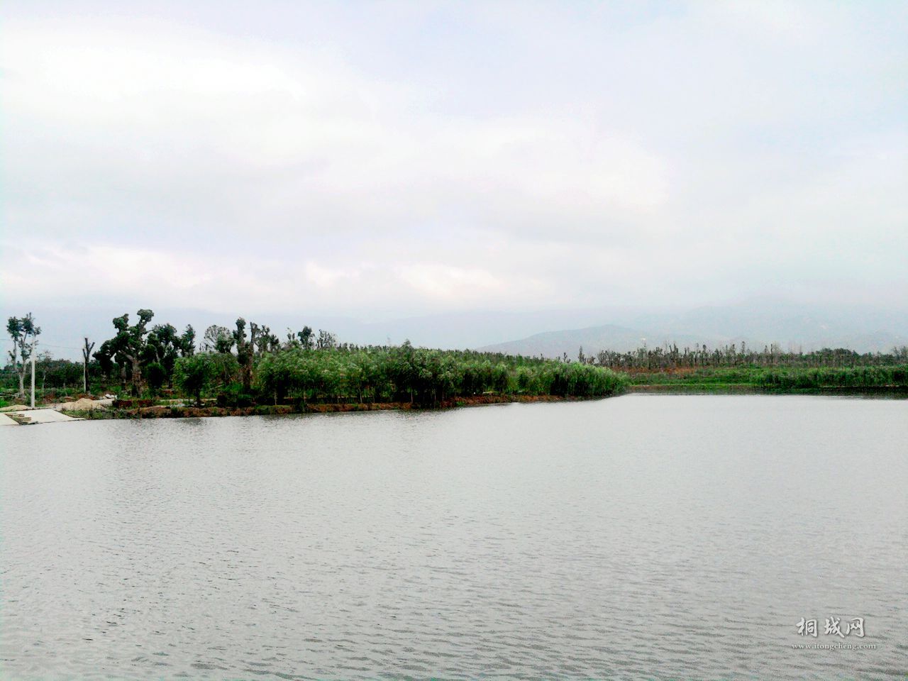 Ƭ-0030.jpg