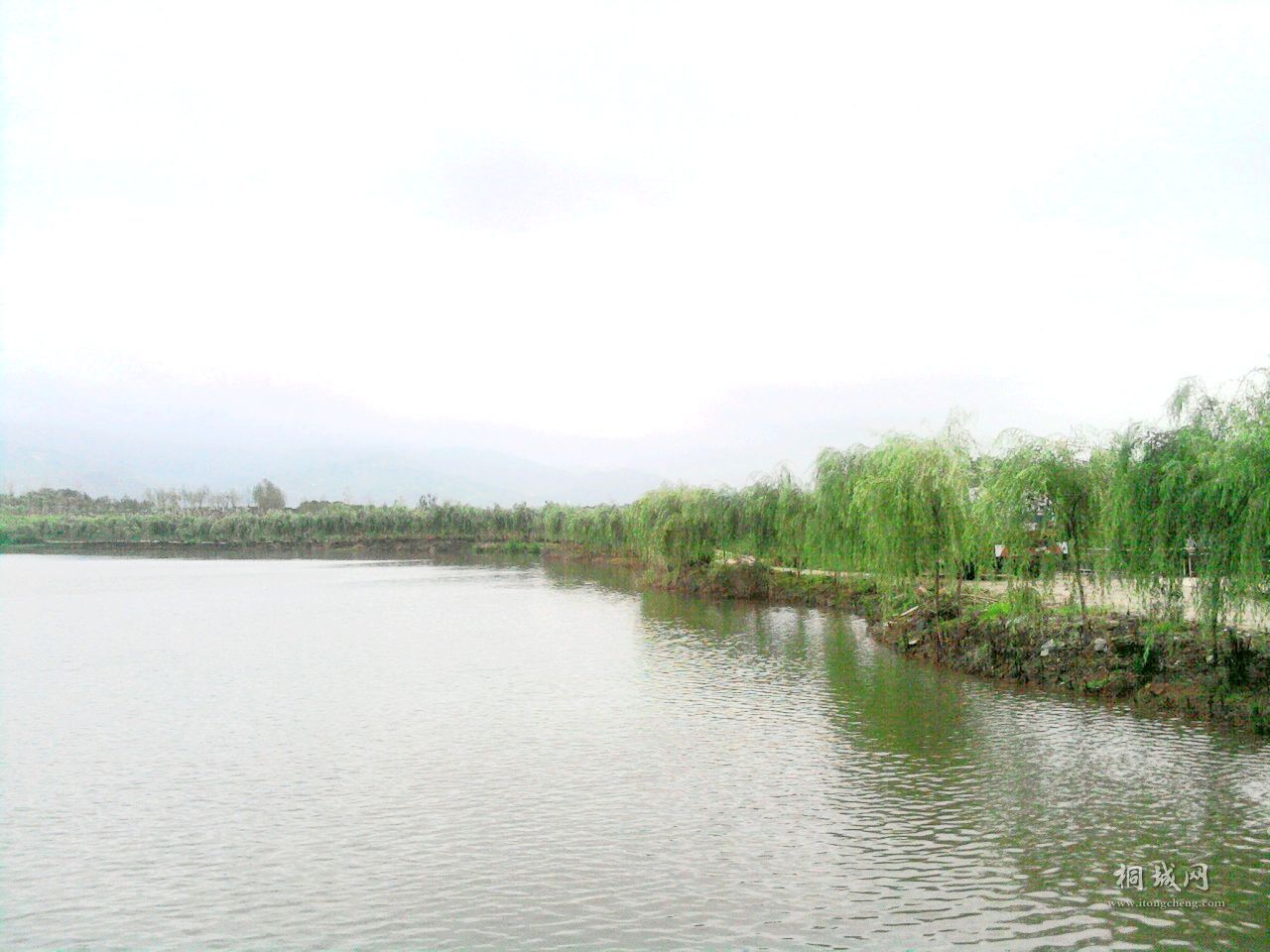 Ƭ-0031.jpg