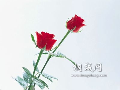 c1c2f7289edd79bc8a13990d.jpg