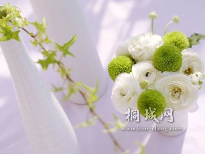 7d564b85e7301be46d811930.jpg