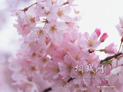 39f319d12bc2debb38012f09.jpg