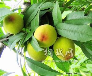 6cb4eaa1tvb1ae2c0hn62&690.jpg