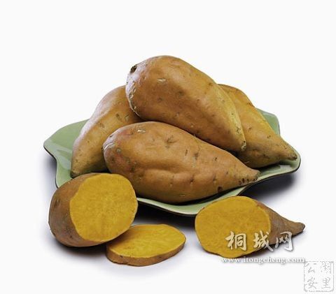20100727085939208.jpg