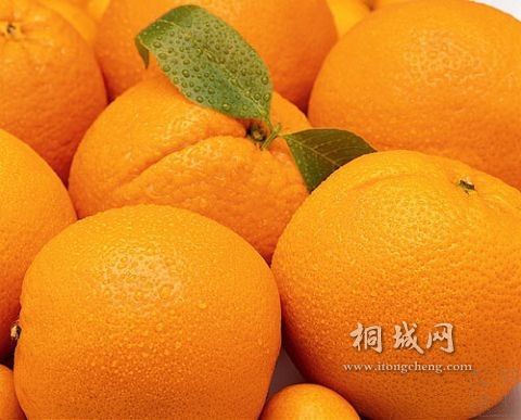 20100727085940901.jpg
