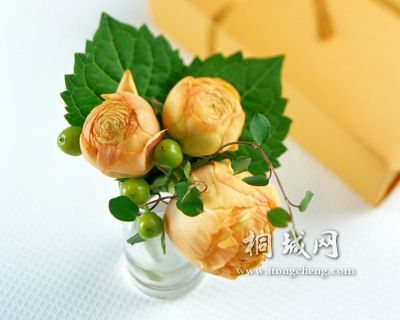 2006111003010410865.jpg