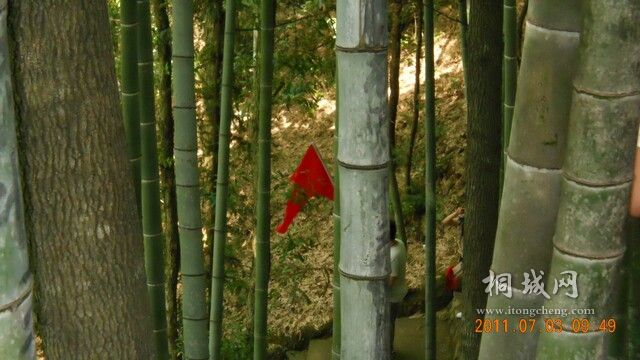 DSCN0298.jpg