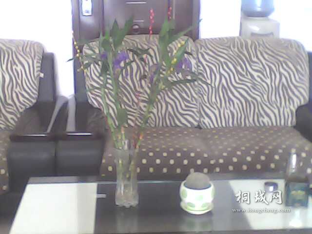 IMG0225A.jpg
