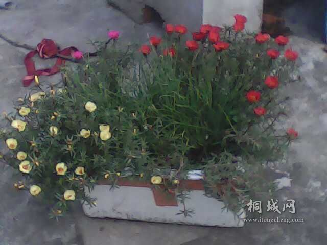 IMG0221A.jpg