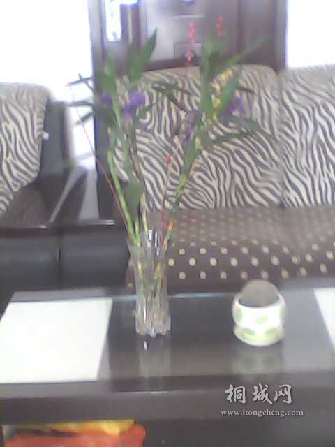 IMG0223A.jpg