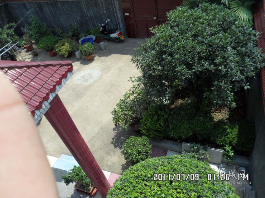 SAM_0220.JPG