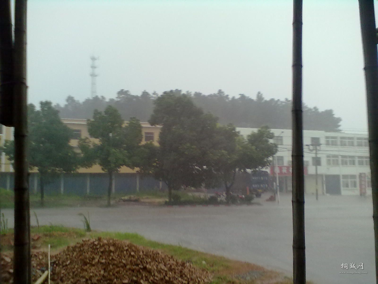 20110727125.jpg