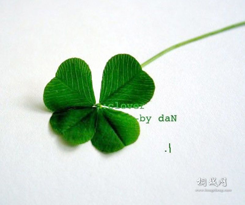 weiyuqingrou_4e31f9def1cc7979.jpg