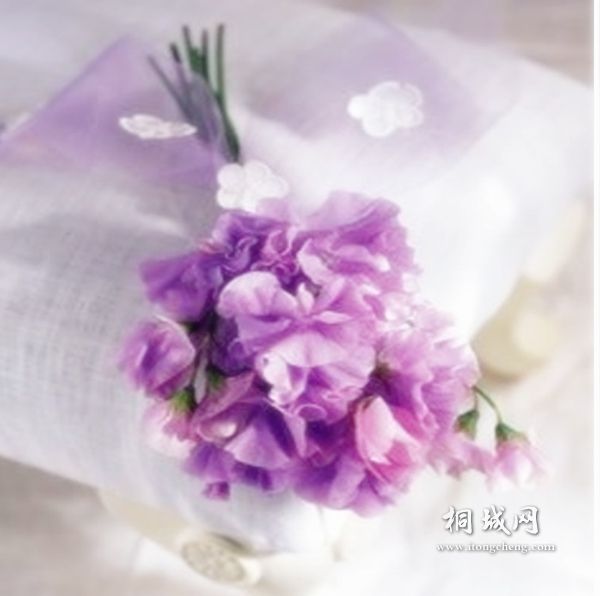 weiyuqingrou_4e32093762cd1428.jpg