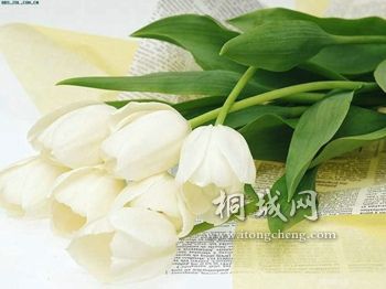 e9f74928a147ff631e308958.jpg
