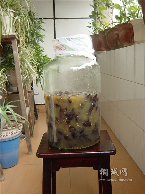 07.jpg