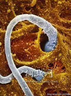 ������������һ�����ӵĿ��ڡ�