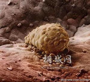 8��� ����������̥��λ��ĳ���λ�ã����������Ĥ�ϡ�