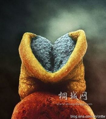 2��� ��̥��δ�������죬�����ǿ��Կ��������ڲ��ˡ�