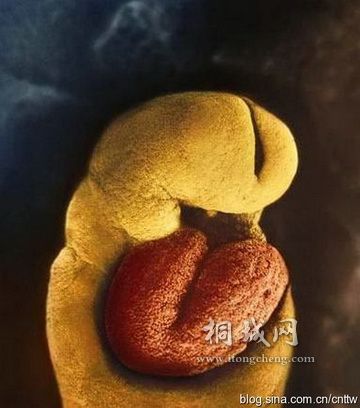 24��� ��һ������������֮һ���࿪ʼ������