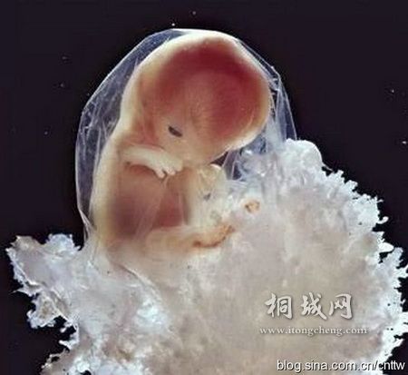 20�ܺ� ̥�����ڳ�Լ20���ס�