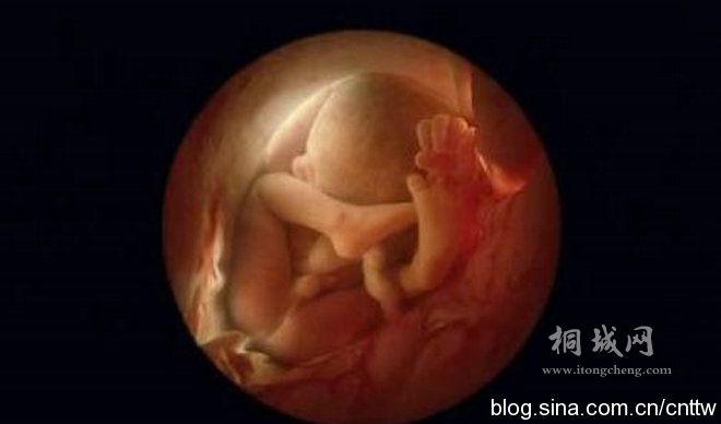 36�ܺ� �ӹ����ڽ�����̥����